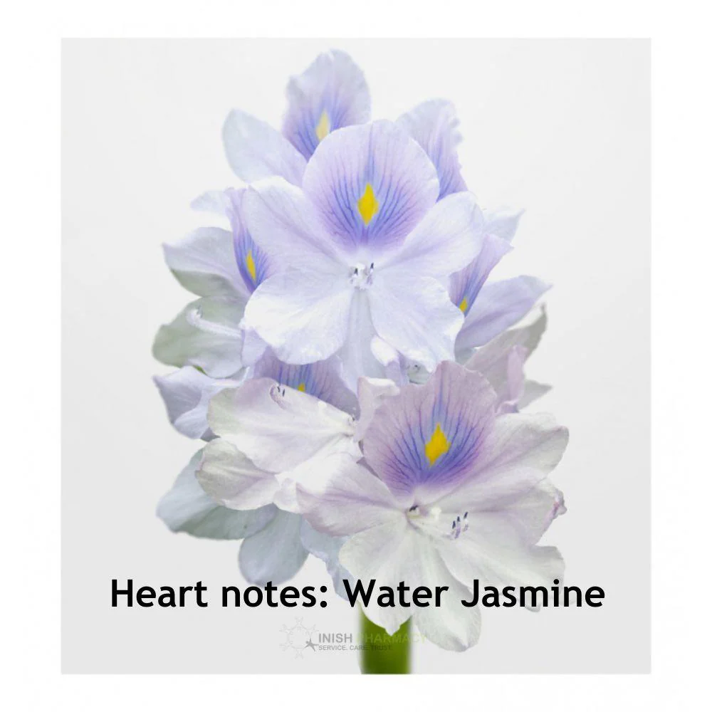 Verset Jana 100ml - Image 3